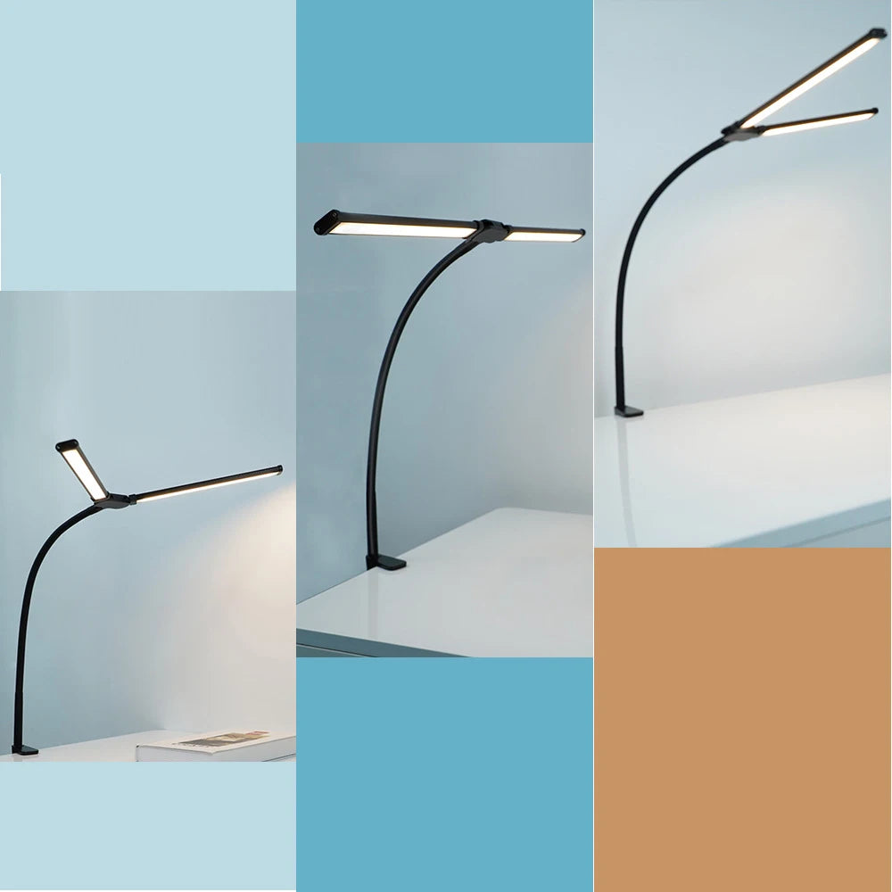 Double Head LED Desk Lamp