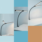 Double Head LED Desk Lamp