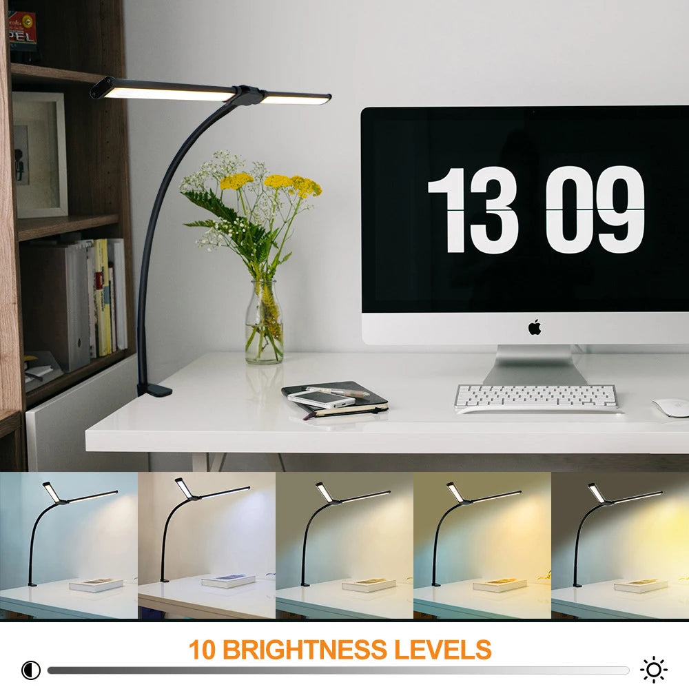 Double Head LED Desk Lamp