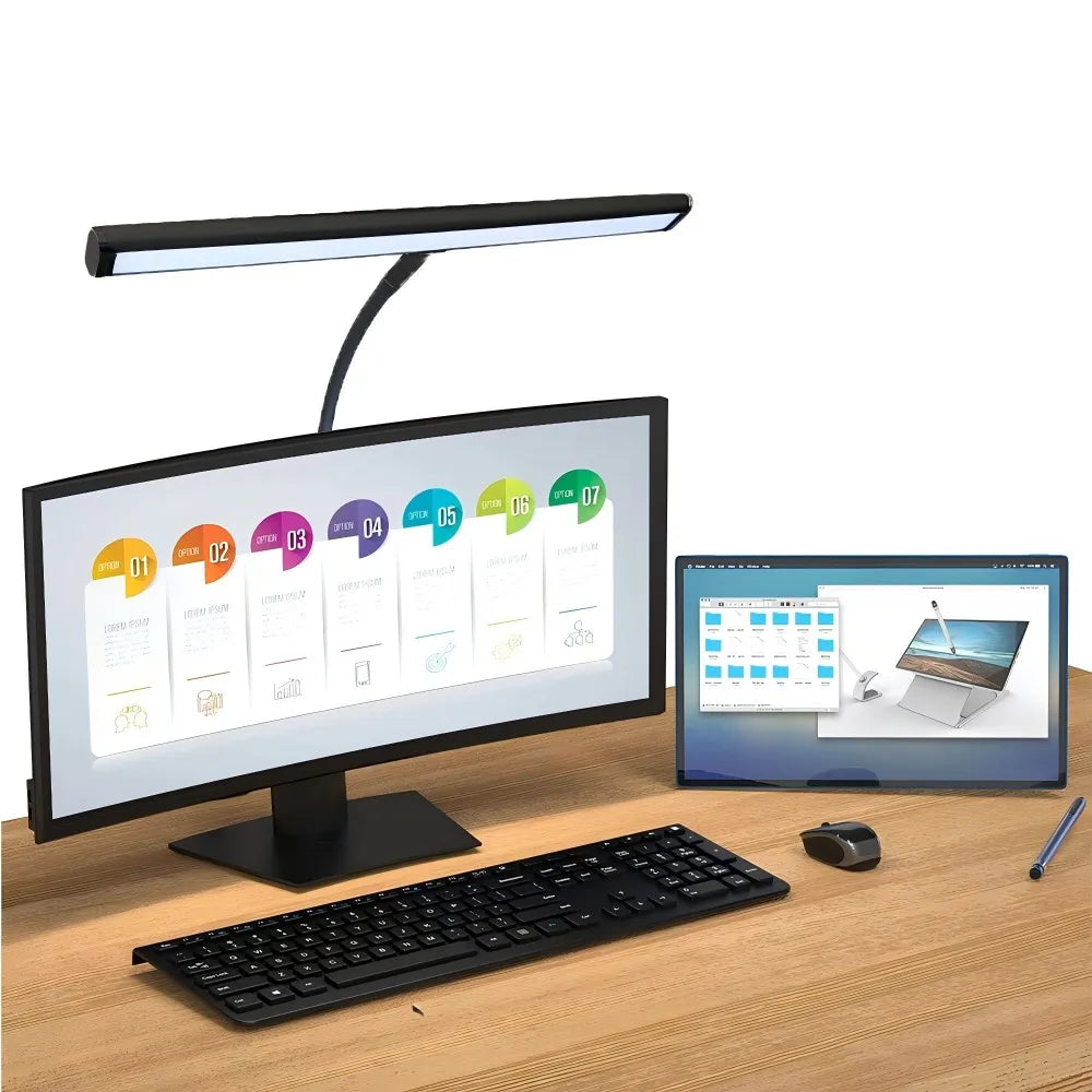 Double Head LED Desk Lamp