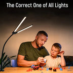 Double Head LED Desk Lamp