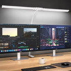 Double Head LED Desk Lamp