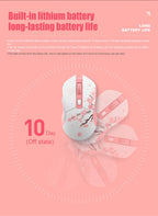 Dual Mode RGB Wireless & Wired Gaming Mouse