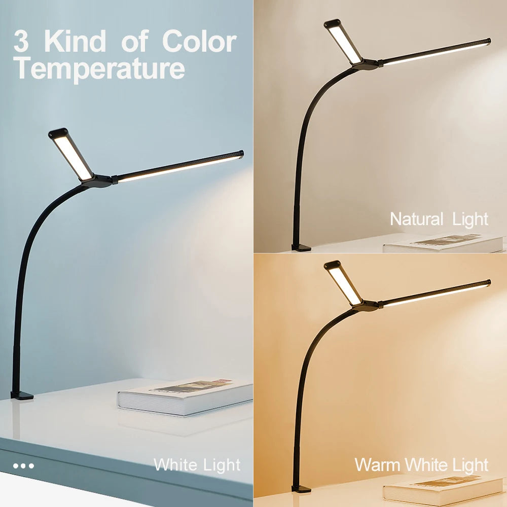 Double Head LED Desk Lamp