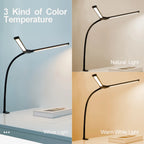 Double Head LED Desk Lamp