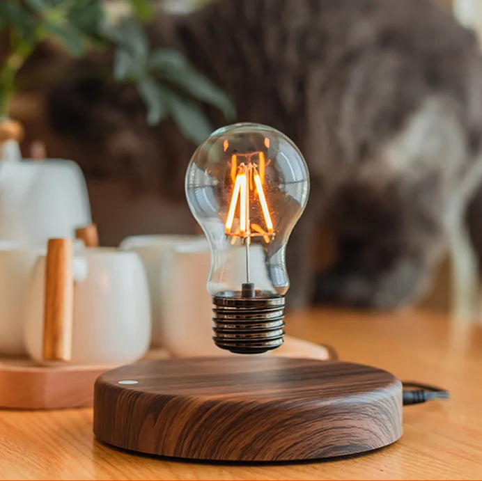 Floating Magnetic LED Bulb Lamp