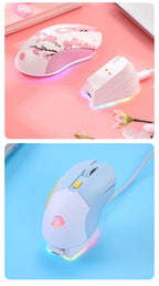 Dual Mode RGB Wireless & Wired Gaming Mouse