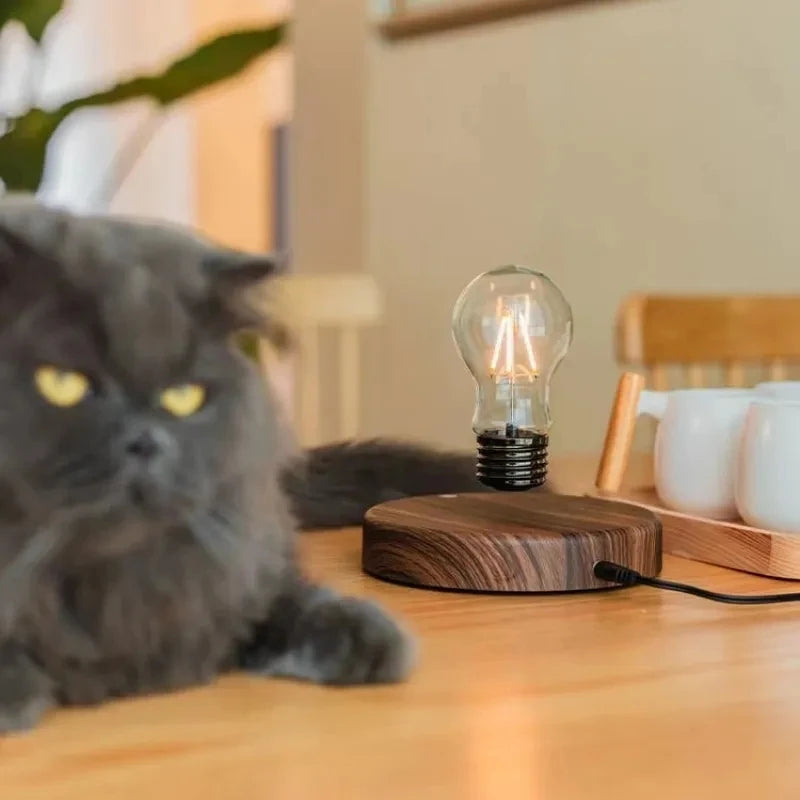 Floating Magnetic LED Bulb Lamp