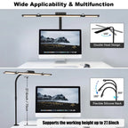Double Head LED Desk Lamp